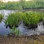 Lägenhet Apartament 108 Kołobrzeg