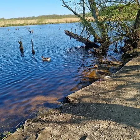 Apartament 108 Appartamento