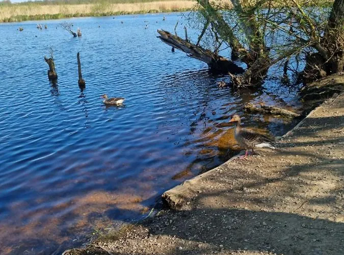 Apartament 108 Apartment