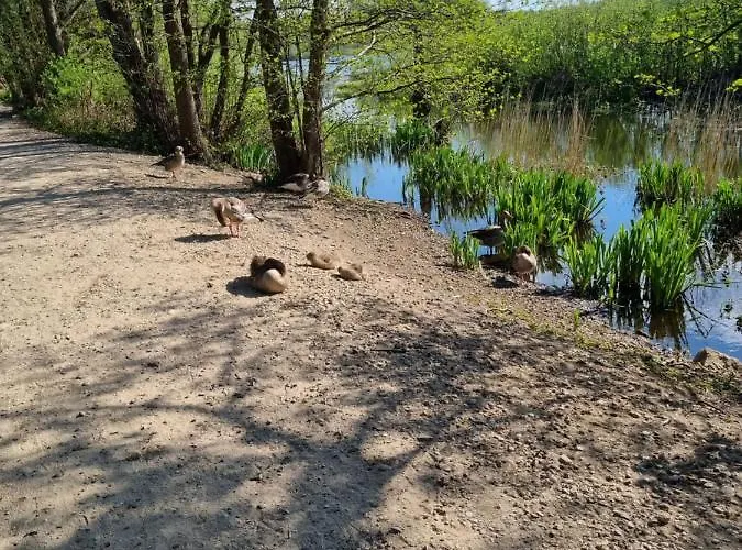 Apartment Apartament 108