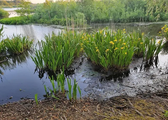 Apartment Apartament 108 Kolberg